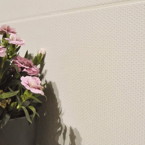 Carrelage mur Tortuga beige...