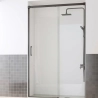 Porte de douche coulissante Cosmos