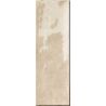 Carrelage mur Antica beige 10x30 cm