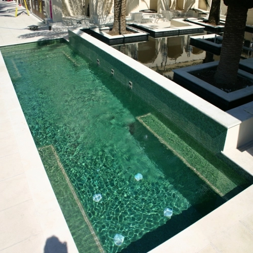 Mosaïque Caïman 31.5x31.5 cm