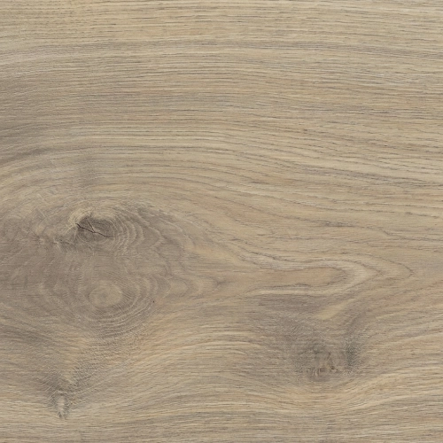 Sol stratifié Master XXL chêne Emilia gris velours AQUA 24,3*220 cm