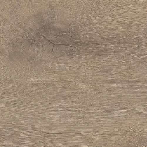 Sol stratifié Master XXL chêne vénéto mocca AQUA 24,3*220 cm