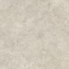 Dalle extérieur Lara naturel 2.0 R11 100x100 cm