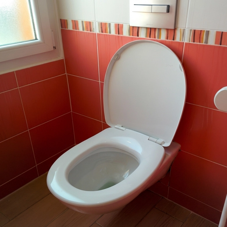 Pack WC suspendu intra