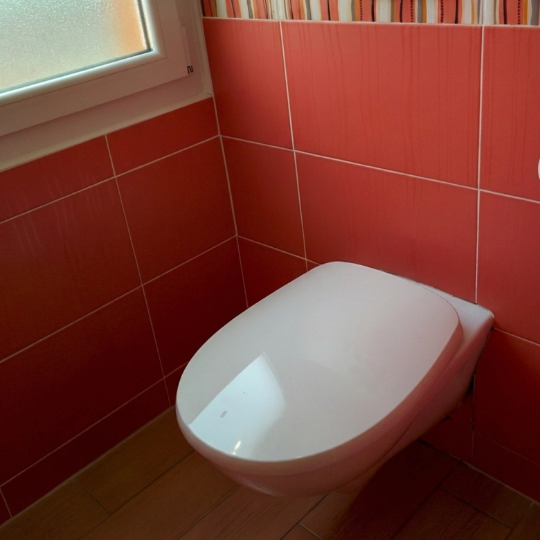 Pack WC suspendu intra