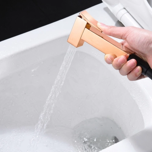 Mitigeur Douchette WC...