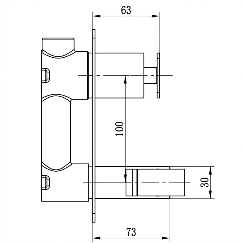Mitigeur Douchette WC Manzanillo Noir/Or rose