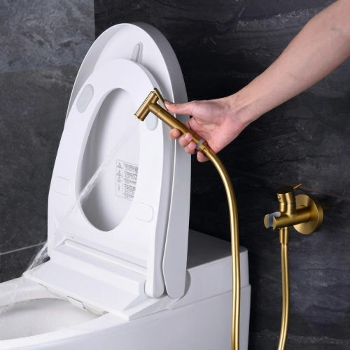 Mitigeur Douchette WC Milan Or