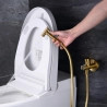 Mitigeur Douchette WC Milan Or