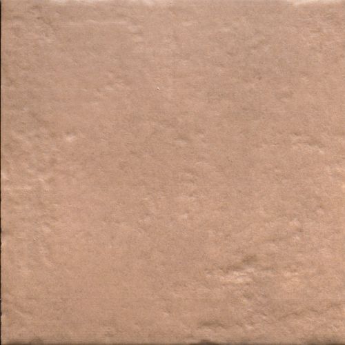 Carrelage sol Dalí terre 20x20 cm