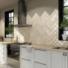 Carrelage mur Antica beige 10x30 cm