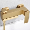 Mitigeur Bain-Douche Riglione Or Brossé