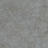 Dalle extérieur Vedra 2.0 gris bleuté R11 60x60 cm