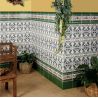Azulejos Genil 15x20 cm