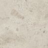Dalle extérieur Olbia naturel 2.0R11 6060 cm