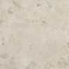Dalle extérieur Olbia naturel 2.0R11 6060 cm