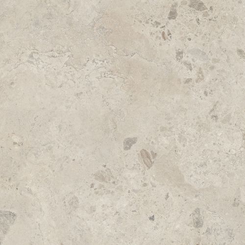 Dalle extérieurOlbia naturel2.0 R11 100x100 cm