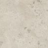 Dalle extérieurOlbia naturel2.0 R11 100x100 cm