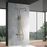 Colonne de Douche Zena Or Brossé