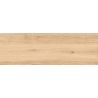 Dalle extérieur effet boisPanggal naturel 2.0 R11 40x120 cm