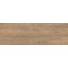 Dalle extérieur effet boisPanggal marron 2.0 R11 40x120 cm