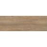 Dalle extérieur effet boisPanggal marron 2.0 R11 40x120 cm
