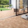 Carrelage sol extérieur traditionnel Civita naturel 15x30 cm