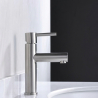 Mitigeur lavabo Menton Acier