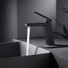 Mitigeur lavabo Shark noir