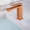 Mitigeur lavabo Riglione Or Rose Brossé