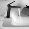 Mitigeur lavabo Flamande Noir Mat