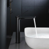 Mitigeur lavabo Duck haut noir