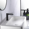Mitigeur lavabo Duck noir