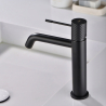 Mitigeur lavabo Zena Noir Mat