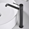 Mitigeur lavabo haut Zena Noir Mat