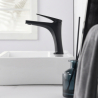 Mitigeur lavabo Lagia Noir Mat