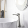 Mitigeur lavabo haut Lagia Acier