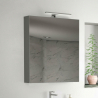 Armoire Felio 45