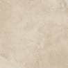 Carrelage sol extérieur effet pierre Ancolie Sable R11 60x60 cm