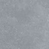 Dalle extérieur Manille 2.0 gris bleuté R11 60x60 cm