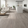 Carrelage sol imitation parquet Bermudes ceniza 22.5*90 cm