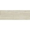 Dalle extérieur effet bois Upala naturel 2.0 R11 40x120 cm
