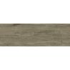 Dalle extérieur effet bois Upala marron 2.0 R11 40x120 cm