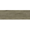 Dalle extérieur effet bois Upala marron 2.0 R11 40x120 cm