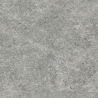 Dalle extérieur Nacre gris 2.0 R11 60x60 cm