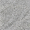 Dalle extérieur Nacre gris 2.0 R11 60x60 cm