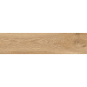 Carrelage sol imitation parquet Bosquet miel 20x120 cm