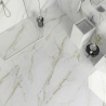 Carrelage sol et mur effet marbre mat Granito gold 120x120 cm