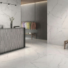 Carrelage sol et mur effet marbre poli brillant Crillon blanc grisé 60x120 cm