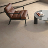 Carrelage sol effet béton Arès terre 60,8x60,8 cm